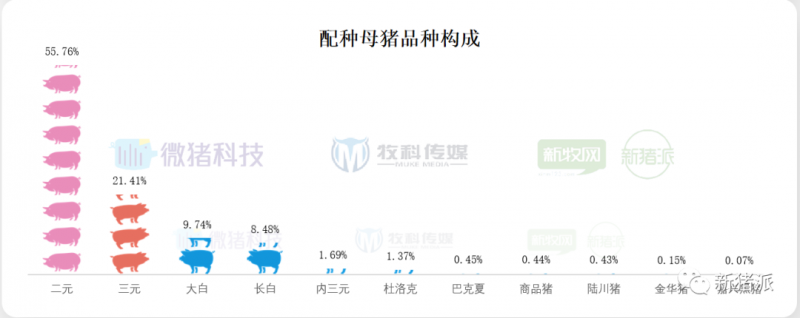 重磅！2020中国猪业数据报告正式发布