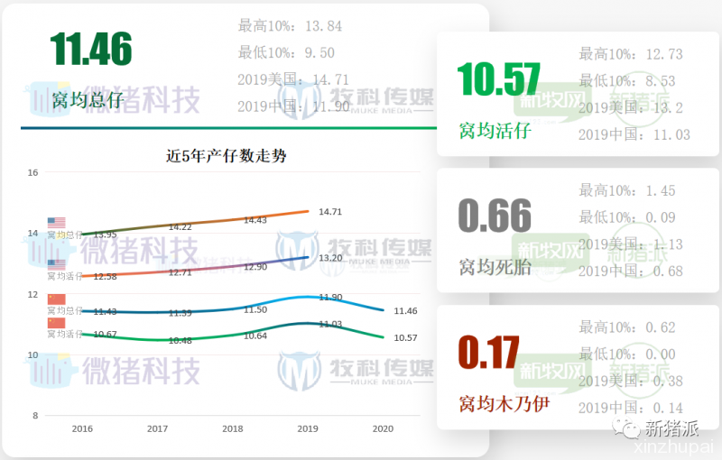 重磅！2020中国猪业数据报告正式发布