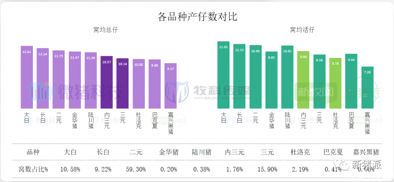 重磅！2020中国猪业数据报告正式发布