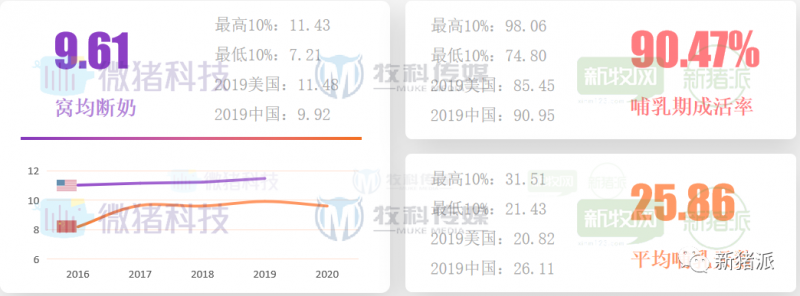 重磅！2020中国猪业数据报告正式发布