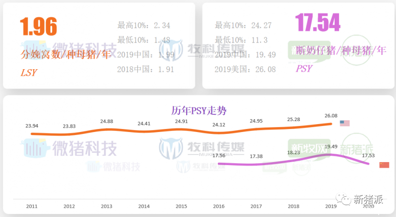 重磅！2020中国猪业数据报告正式发布