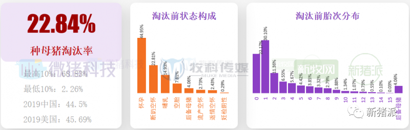 重磅！2020中国猪业数据报告正式发布