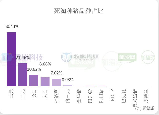 重磅！2020中国猪业数据报告正式发布