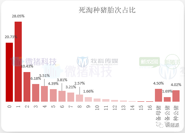 重磅！2020中国猪业数据报告正式发布