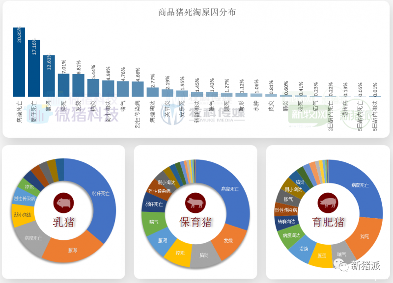 重磅！2020中国猪业数据报告正式发布