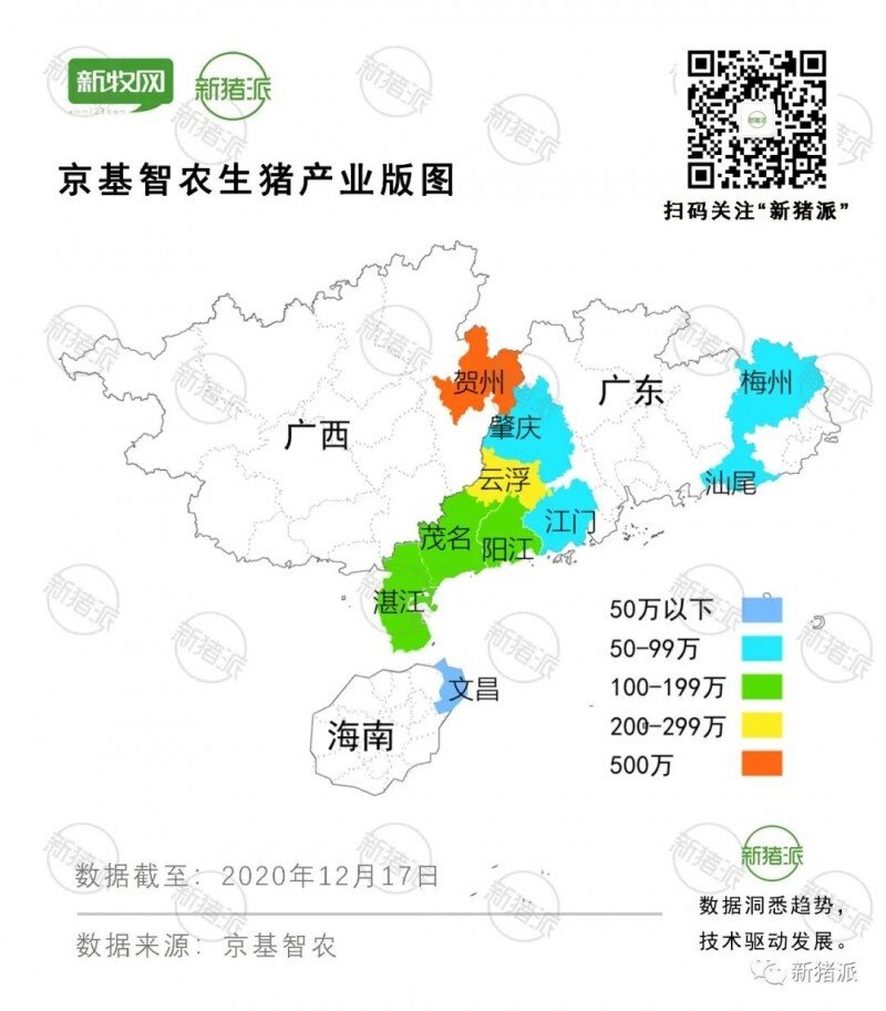 狂奔中的京基智农：6大项目开工，1300万头生猪签约规模加速落地