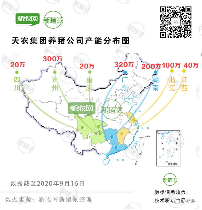 每头猪赚3134元尝到甜头，养鸡巨头密集抢滩养猪市场