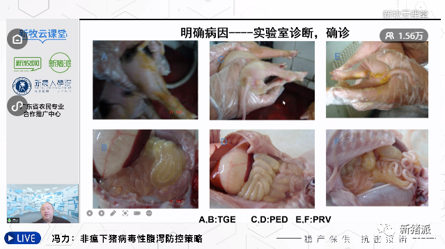 哈兽研冯力：五位一体系统全面思维防控猪病毒性腹泻