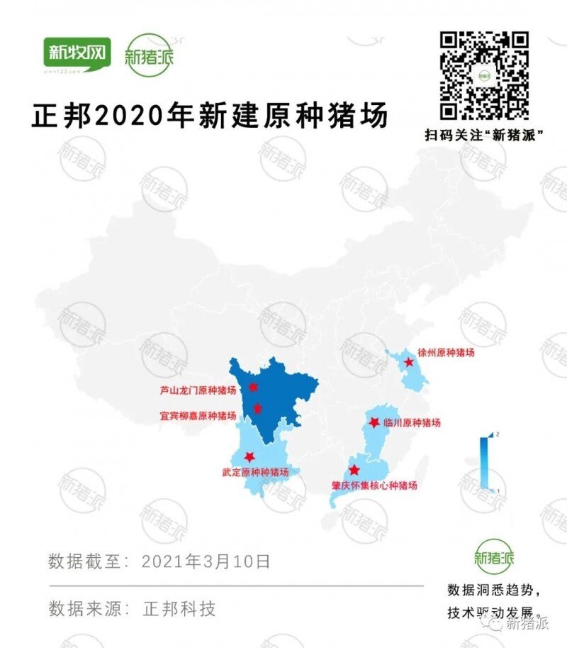国外引种1万头！要成为中国的PIC、Hypor，正邦还有多长的路要走？