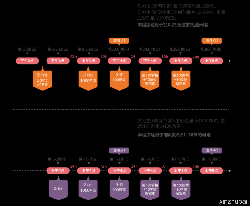 实施批次化，非瘟期间他的猪场规模扩大3倍