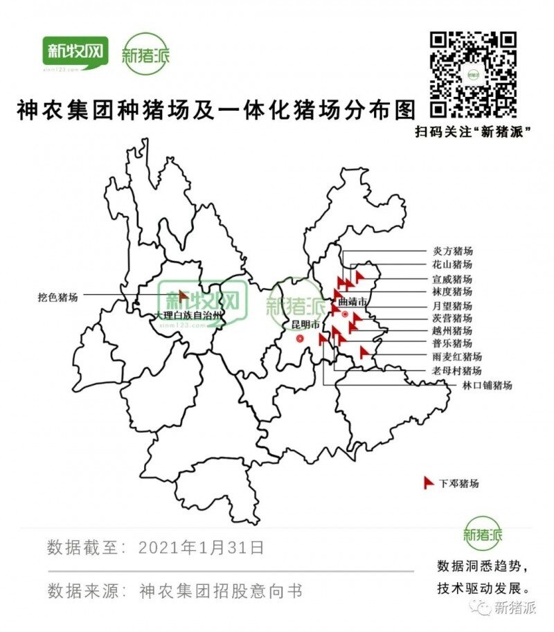 出栏41万头！神农集团拟募资21亿元，新建10大项目150万头产能