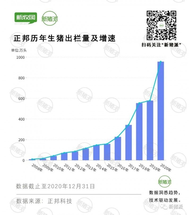 神操作！正邦投500亿布局2200万头产能，却半年淘汰85万头母猪