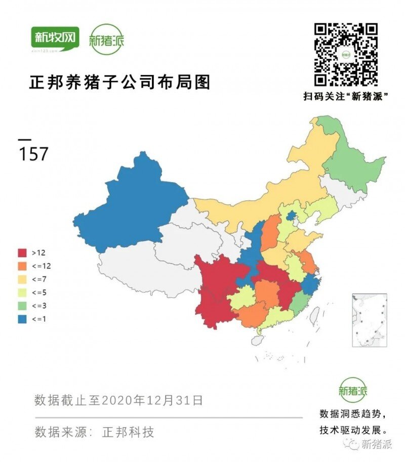 神操作！正邦投500亿布局2200万头产能，却半年淘汰85万头母猪