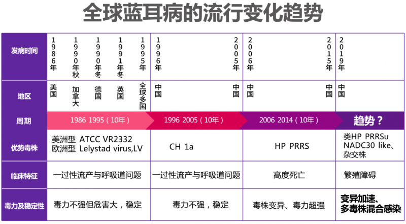 蓝耳病防控需要体系化：四种感染猪场转归可以有这样的路径！