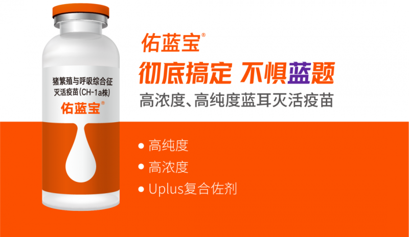 蓝耳病防控需要体系化：四种感染猪场转归可以有这样的路径！