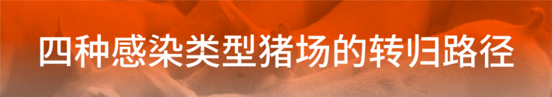 蓝耳病防控需要体系化：四种感染猪场转归可以有这样的路径！