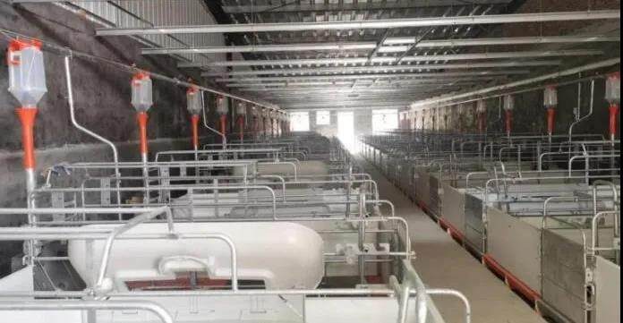山里香·惠营集团拥有猪企18家，存栏母猪1.5万头