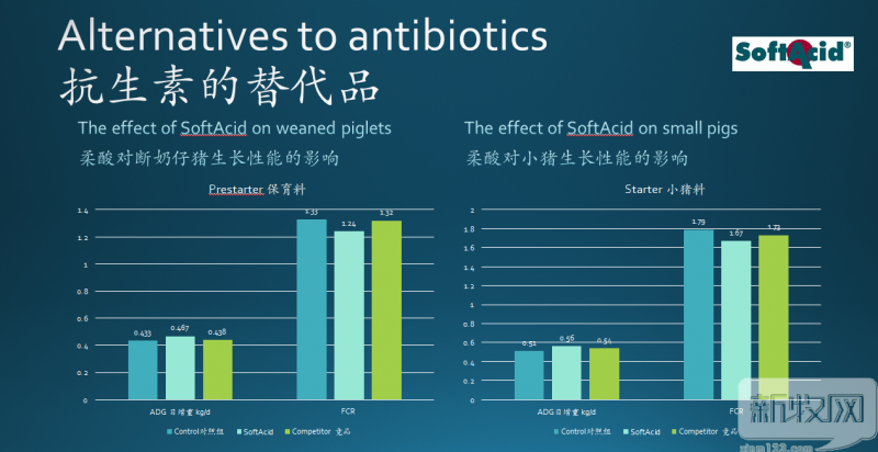 禁抗时代欧洲猪场生物安全有哪些秘诀？克里森高嵩：水和水线的清洁至关重要