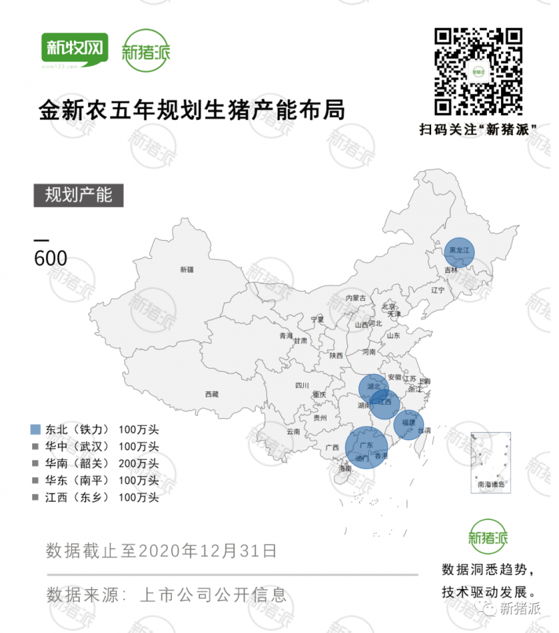 生猪出栏翻倍，金新农剑指600万头生猪布局