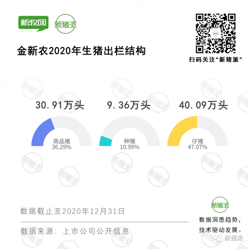 生猪出栏翻倍，金新农剑指600万头生猪布局