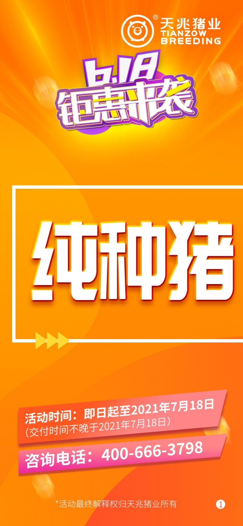 天兆618種豬大促銷：純種豬3500元起/ 60kg，二元母豬2400元起/100kg