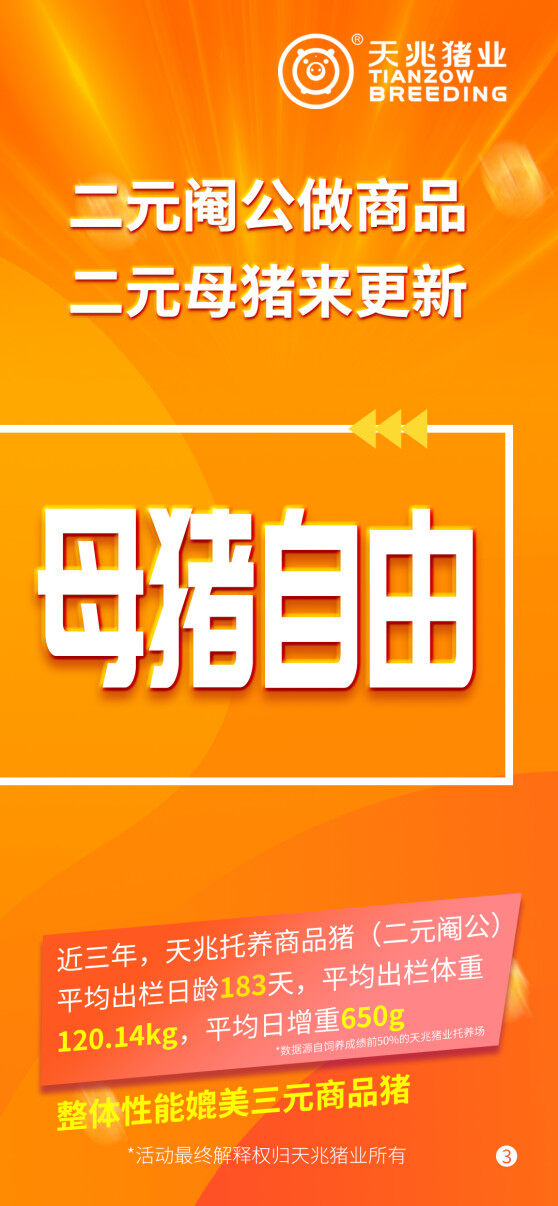 天兆618種豬大促銷：純種豬3500元起/ 60kg，二元母豬2400元起/100kg