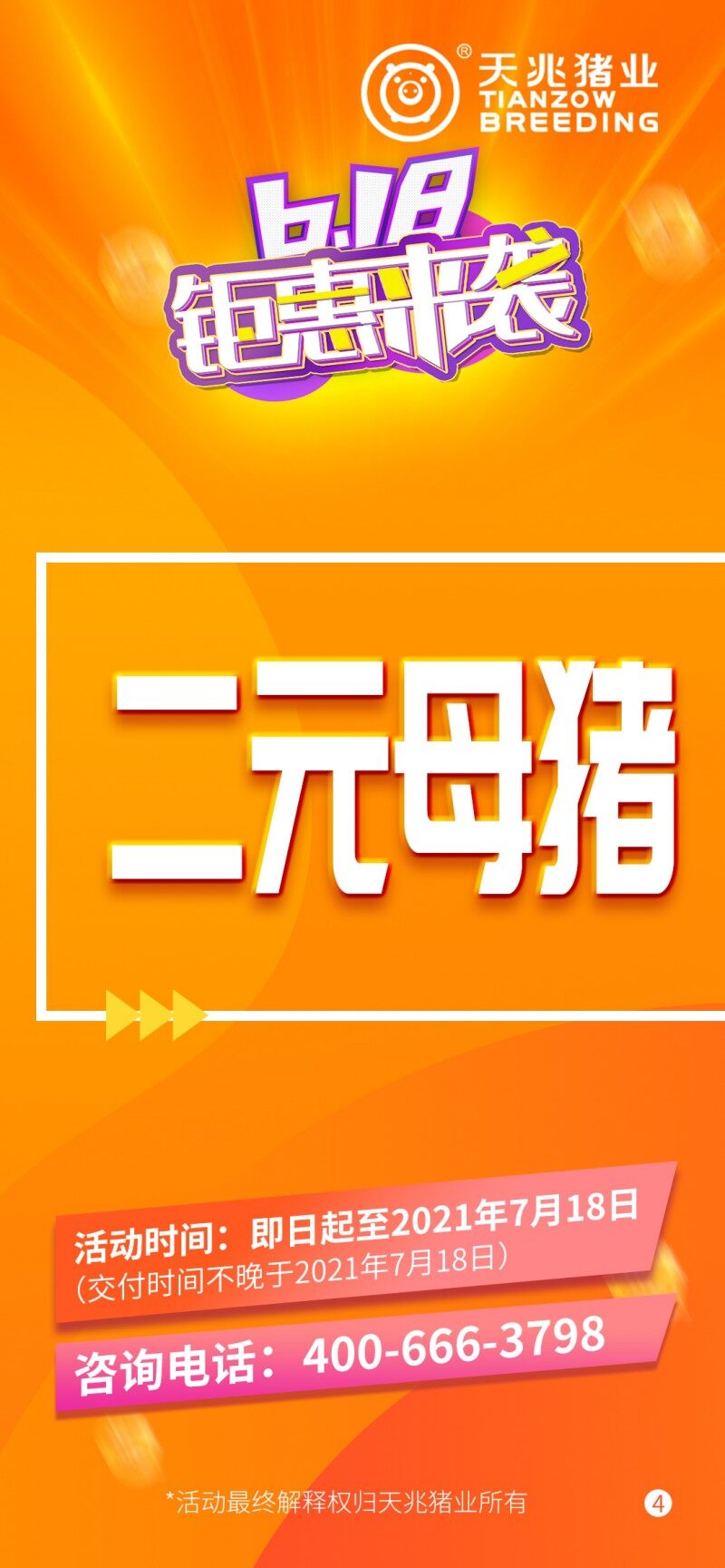 天兆618種豬大促銷：純種豬3500元起/ 60kg，二元母豬2400元起/100kg