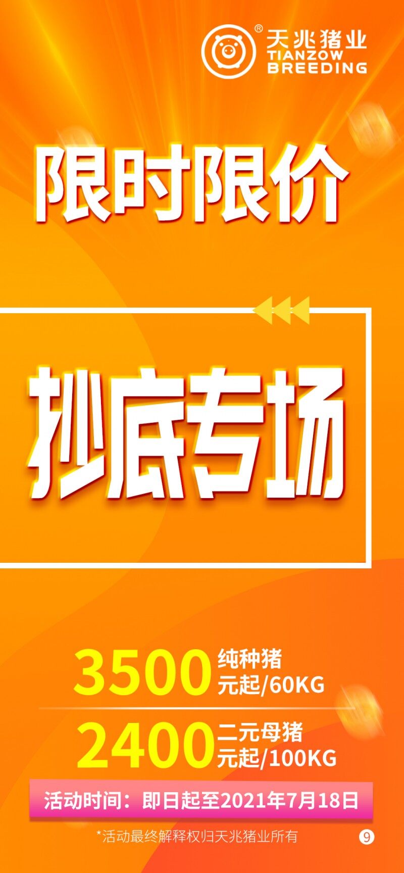 天兆618種豬大促銷：純種豬3500元起/ 60kg，二元母豬2400元起/100kg