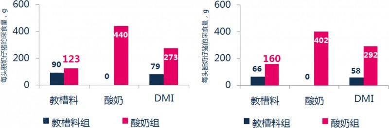 当前猪群的营养管理矛盾与仔猪酸奶解决方案