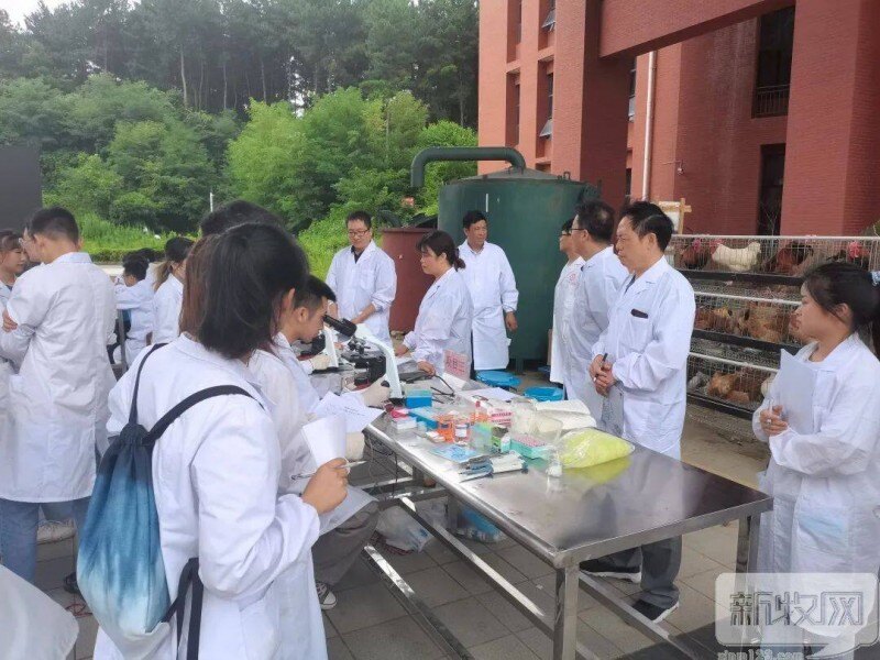 校企合作丨2021年贵州大学“永诚杯”动物科学专业技能大赛圆满落幕