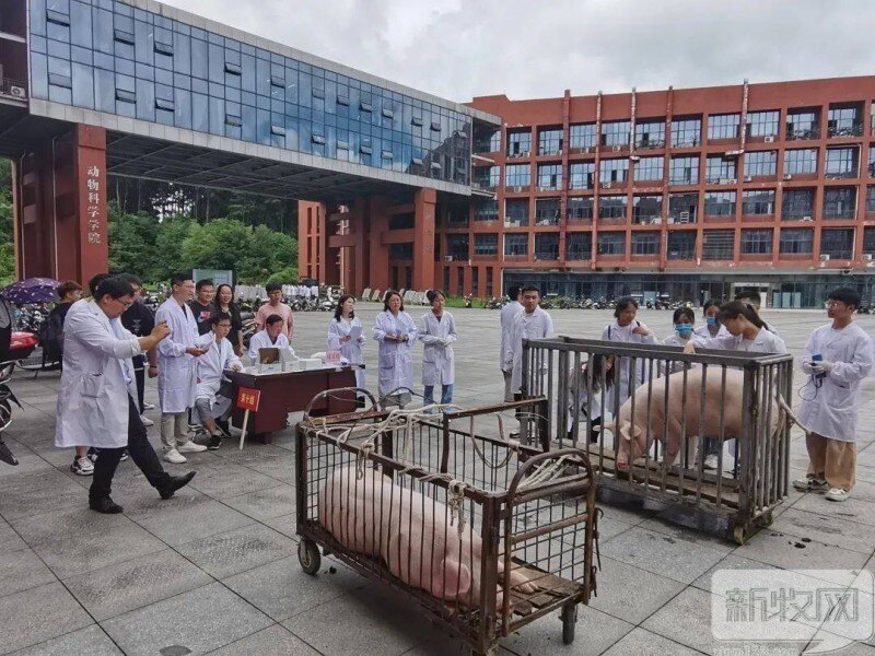校企合作丨2021年贵州大学“永诚杯”动物科学专业技能大赛圆满落幕