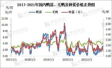 2021年国内肉鸭市场回顾及2022年展望