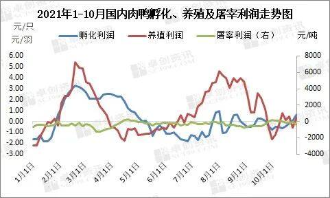 2021年国内肉鸭市场回顾及2022年展望