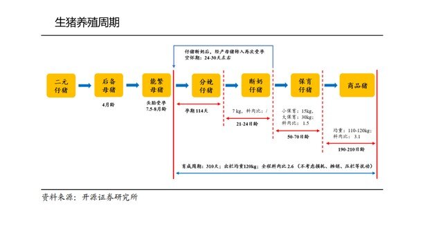 中小型猪企会加速淘汰?2022猪价或现“V字”走势,猪企依旧面临资金大考!