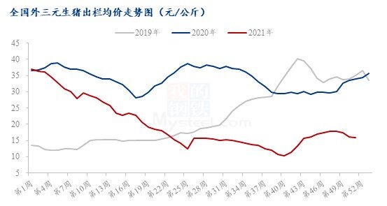 双节将至,猪价要跌?机构:一月或有集中“卖猪”热