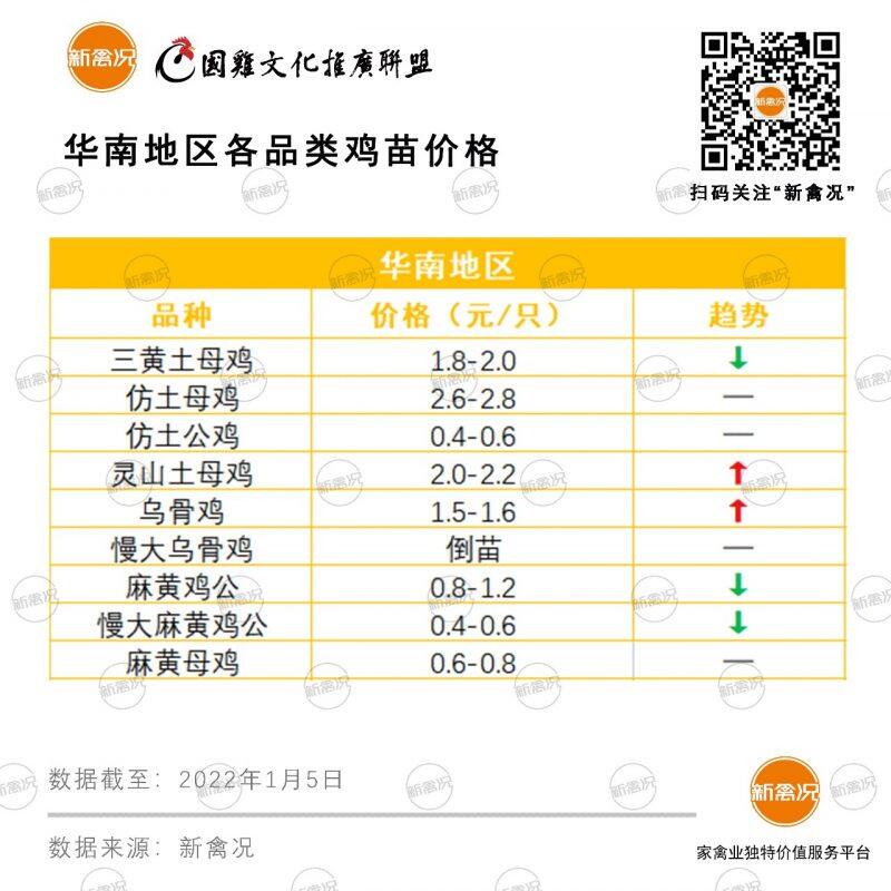 新年伊始，鸡苗行情要有所拉升？丨苗价分析