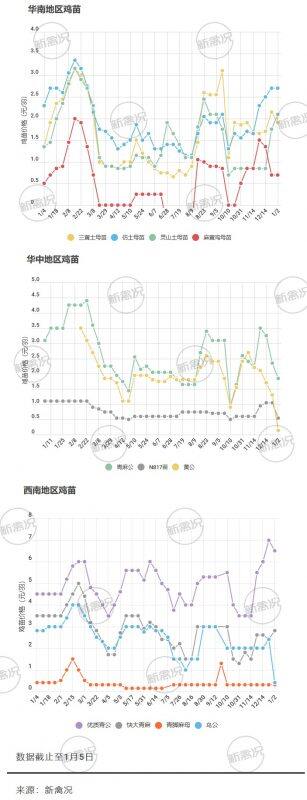 新年伊始，鸡苗行情要有所拉升？丨苗价分析