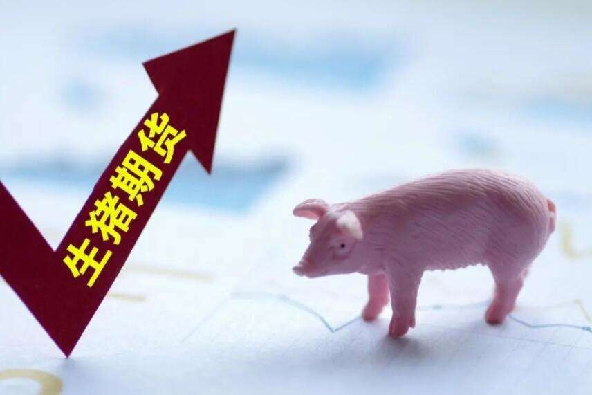 上市一周年，成交额超1.7万亿，生猪期货能否助力“烫平”猪周期？