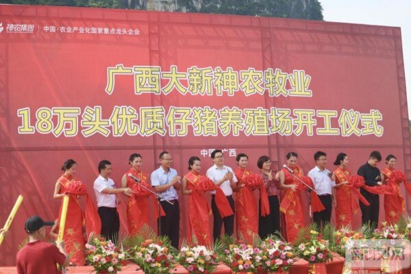 神农集团又一猪场在广西开工！年出栏优质仔猪可达18万头