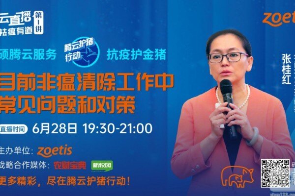 张桂红：目前非瘟清除工作中常见问题和对策