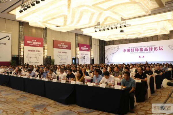 杨汉春：生物安全是过去、也是现在、更是将来最有效的疫病防控手段