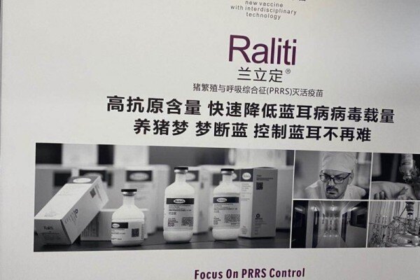 2020国鸡论坛会讯：10月底超600行业人士齐聚桂林，探讨产业新形势