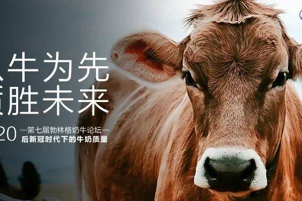 亢明旭：善用机器降低破损率，国鸡屠宰痛点解析！【2021国鸡产业高峰论坛】