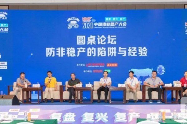非瘟防控有哪些陷阱，如何看待非瘟疫苗？仇华吉、吴志君等大咖这样看