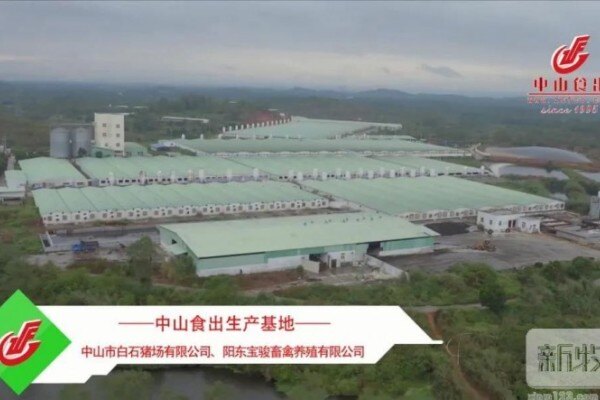 稳定生猪生产 促进转型升级——广东省人大常委会调研组莅临阳东宝骏猪场