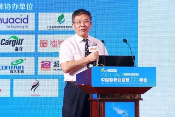 喜大普奔！19家蛋鸡企业荣获“2019优质品牌蛋供应商”