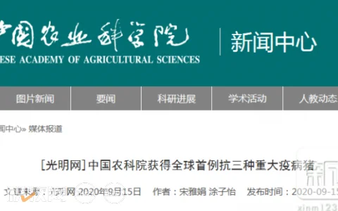 重磅！中国农业科学院获全球首例抗三种重大疫病猪