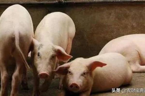 替抗呼声愈发高涨，健康养殖从”肠”开始