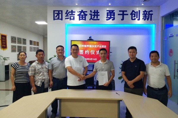 刘向明：蛋鸡养殖要关注这5个敏感点