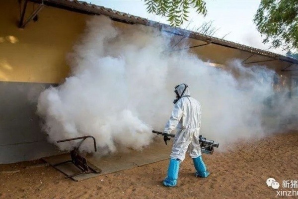 新增14例，非瘟卷土重来！复产猪场如何避免再次躺枪？